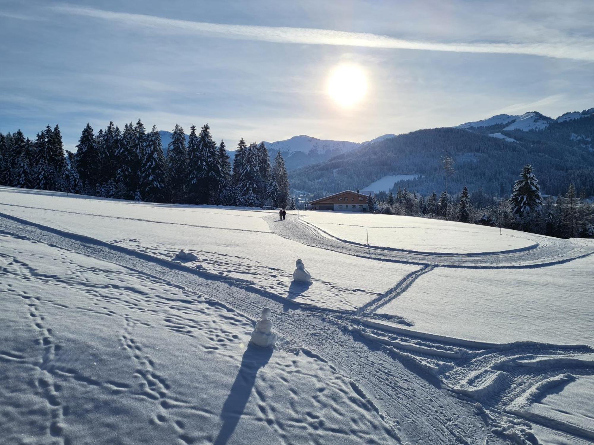 Auszeit Apartments Oberau Eksteriør billede